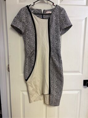 Black & White Zebra Print Panel Dress - Women's